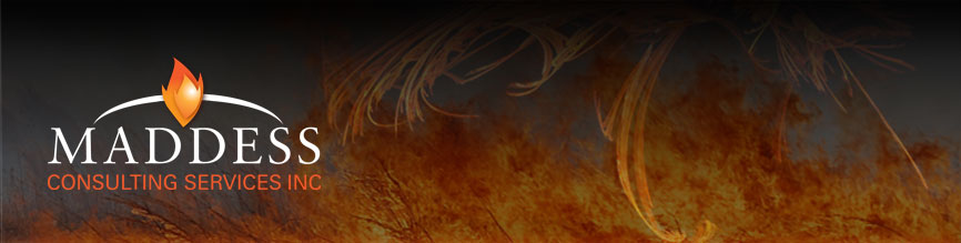 Maddess Consulting Header